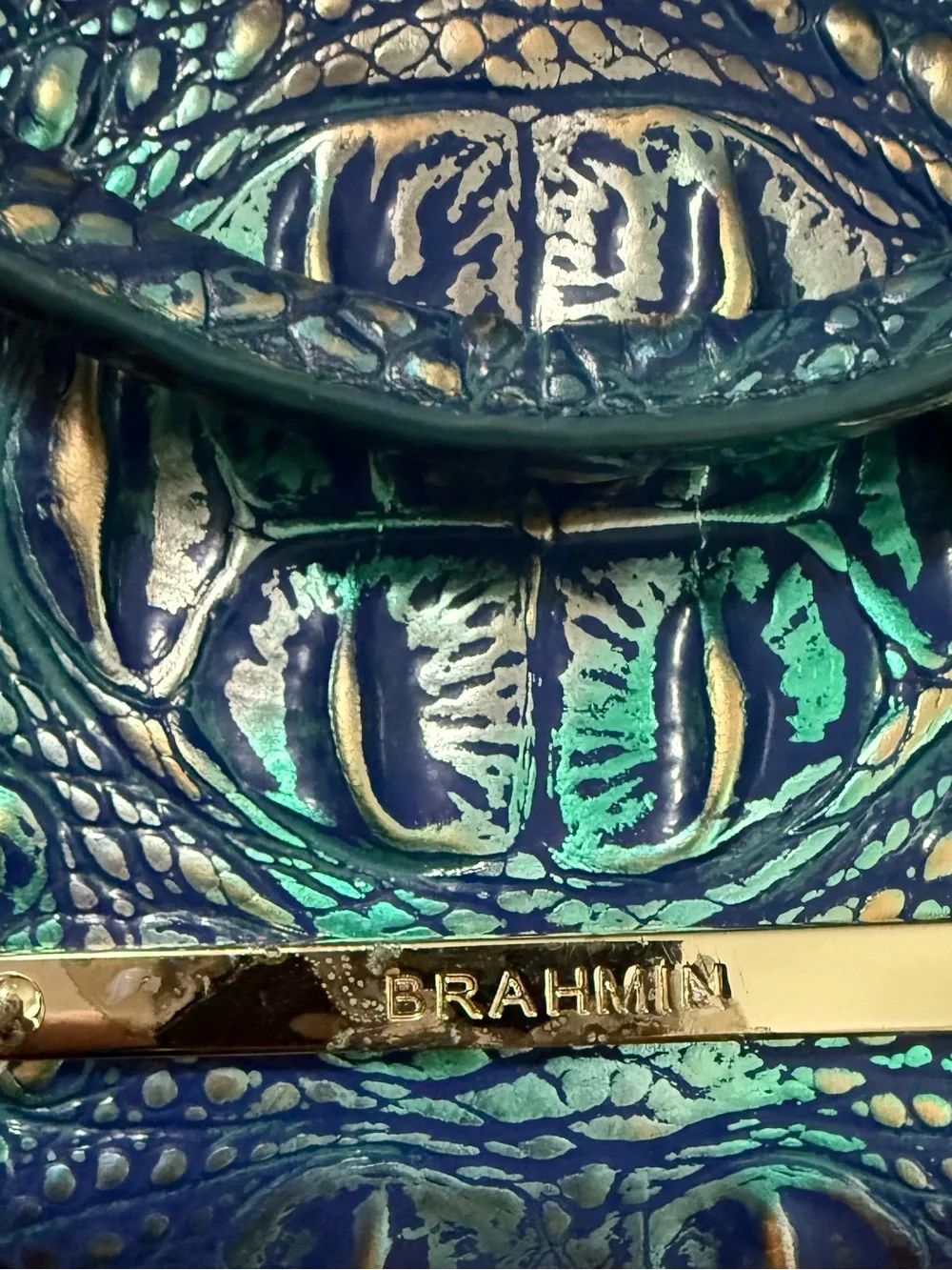 Brahmin this bag